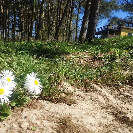 Country house Agrosfera Dom Relaksacyjny *